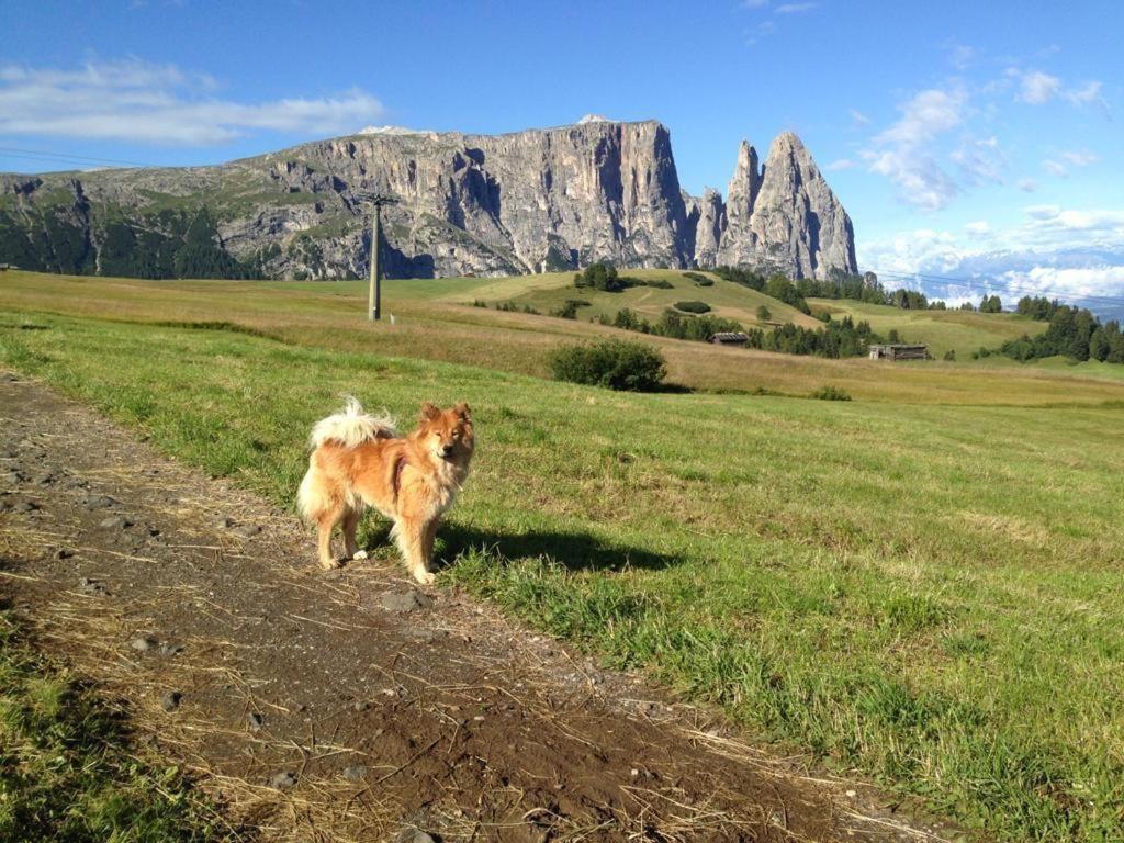 Siusi Sciliar Apartment Buitenkant foto